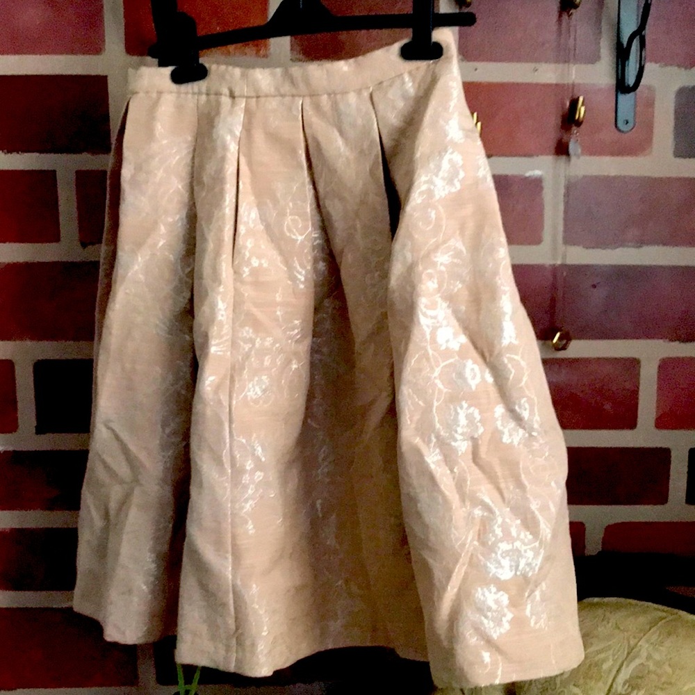 Blush New York & Company skirt size 4